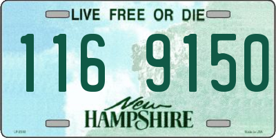 NH license plate 1169150