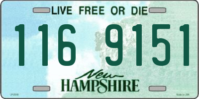 NH license plate 1169151