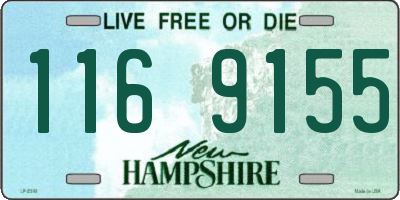 NH license plate 1169155