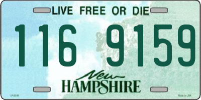 NH license plate 1169159