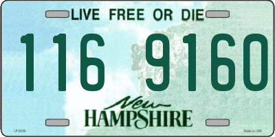 NH license plate 1169160