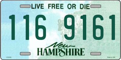 NH license plate 1169161
