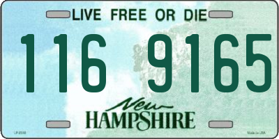 NH license plate 1169165