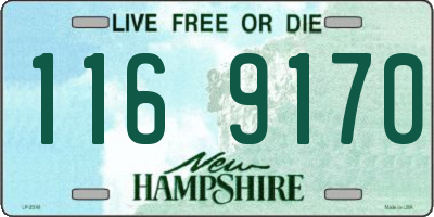 NH license plate 1169170