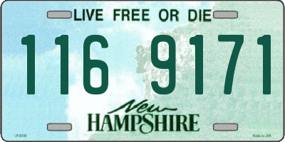 NH license plate 1169171