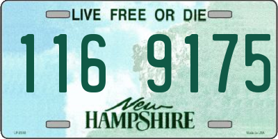 NH license plate 1169175