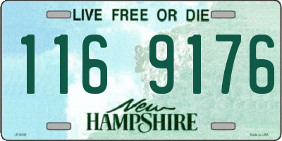 NH license plate 1169176