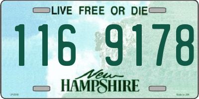 NH license plate 1169178