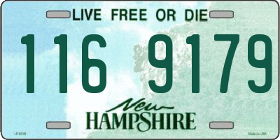 NH license plate 1169179