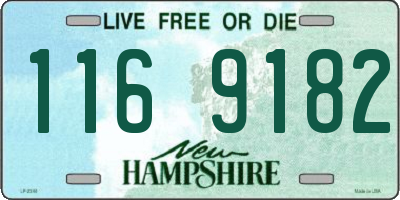 NH license plate 1169182