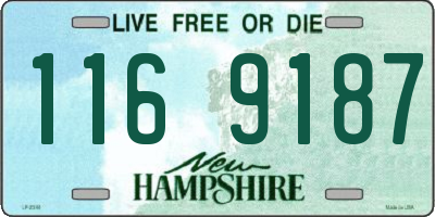 NH license plate 1169187