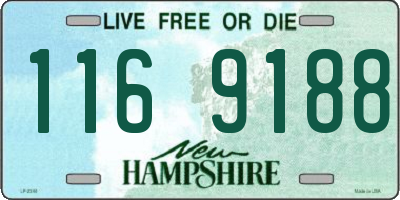 NH license plate 1169188