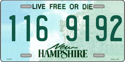 NH license plate 1169192