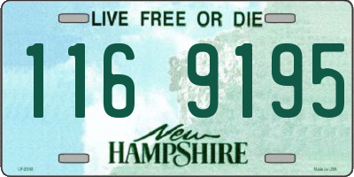 NH license plate 1169195