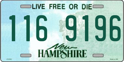 NH license plate 1169196