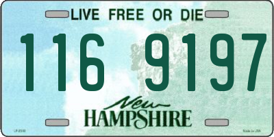 NH license plate 1169197