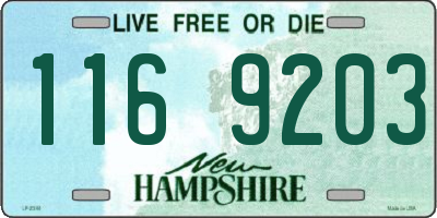 NH license plate 1169203