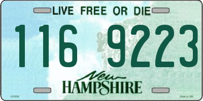 NH license plate 1169223