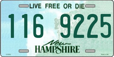 NH license plate 1169225