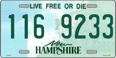 NH license plate 1169233