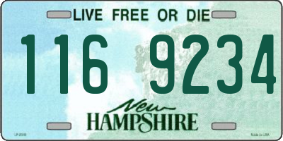 NH license plate 1169234