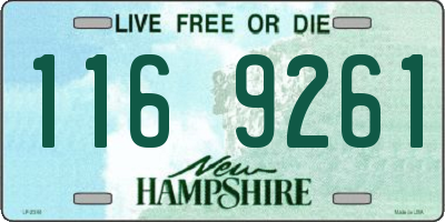 NH license plate 1169261