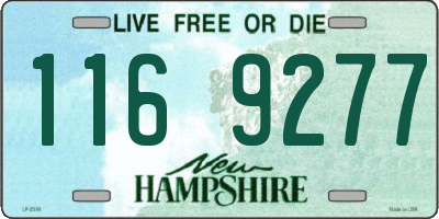 NH license plate 1169277