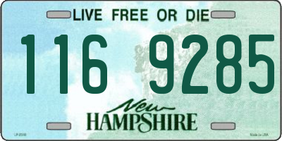 NH license plate 1169285