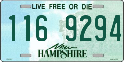 NH license plate 1169294