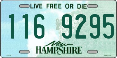 NH license plate 1169295