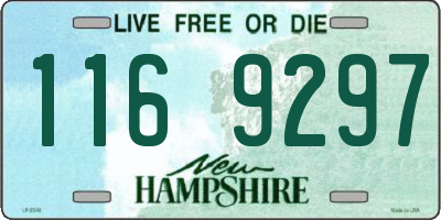 NH license plate 1169297