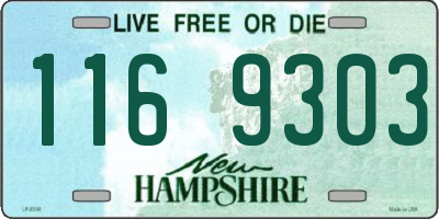 NH license plate 1169303