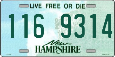 NH license plate 1169314