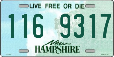 NH license plate 1169317