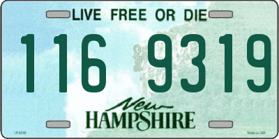 NH license plate 1169319