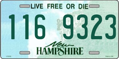 NH license plate 1169323