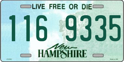 NH license plate 1169335