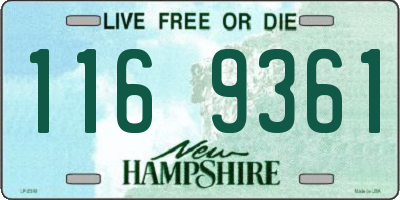 NH license plate 1169361