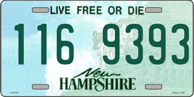 NH license plate 1169393