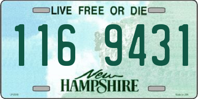NH license plate 1169431