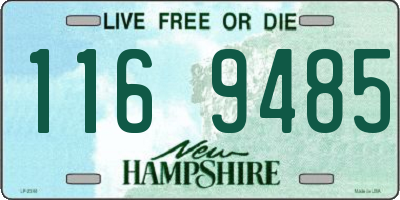 NH license plate 1169485