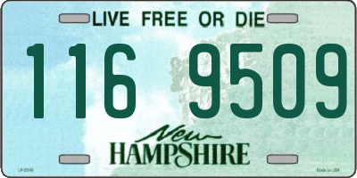 NH license plate 1169509