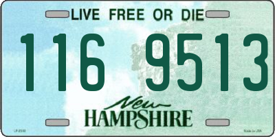 NH license plate 1169513
