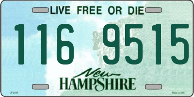 NH license plate 1169515