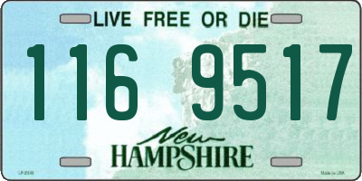 NH license plate 1169517