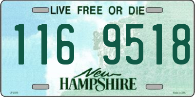 NH license plate 1169518