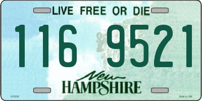 NH license plate 1169521