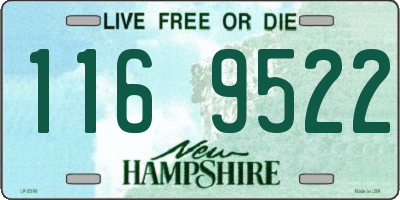 NH license plate 1169522