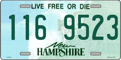 NH license plate 1169523