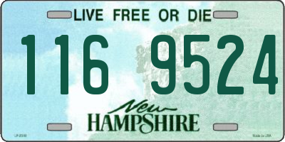 NH license plate 1169524
